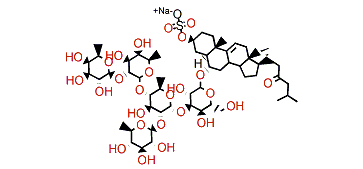 Marthasteroside C